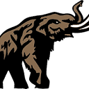 Mastodon gGmbH (Mastodon)
